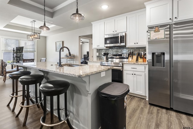 kitchen with white cabinets, a raised ceiling, sink, an island with sink, and stainless steel appliances