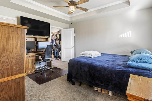 bedroom featuring carpet flooring, ceiling fan, a raised ceiling, a closet, and ornamental molding