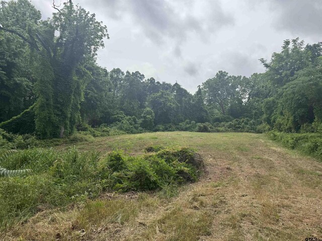 510 W Martin Luther King Jr Blvd, Tyler, TX 75702 - photo 6