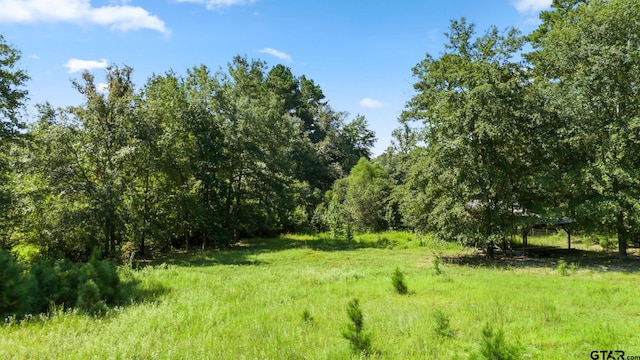 view of landscape