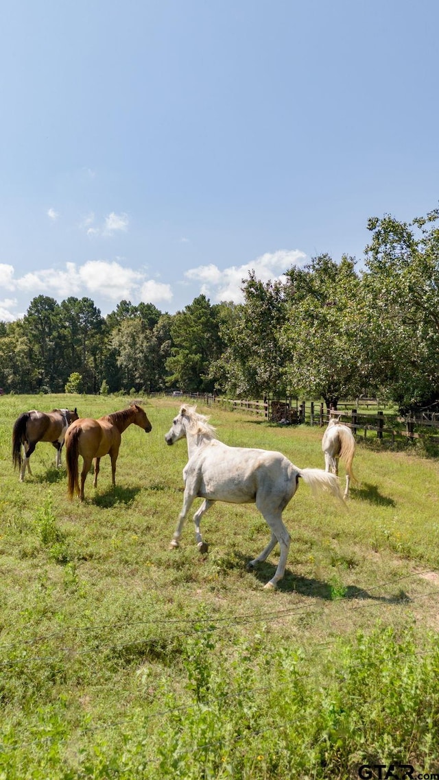 view of yard with a rural view