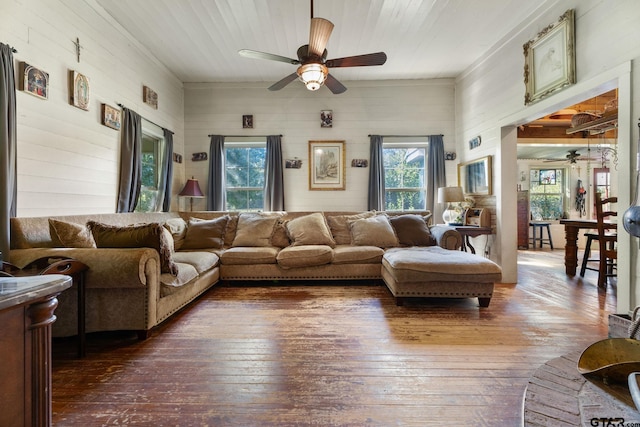 living room featuring ceiling fan and dark hardwood / wood-style floors