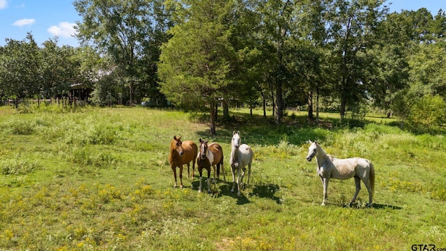 view of stable featuring a rural view