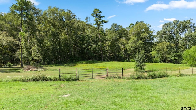 view of yard featuring a rural view