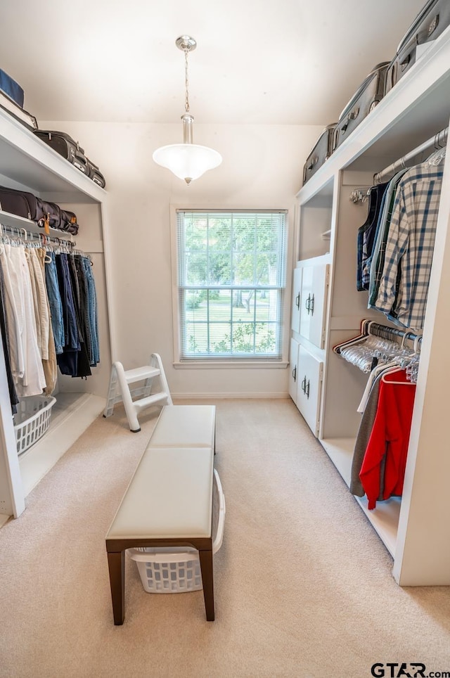 walk in closet featuring carpet