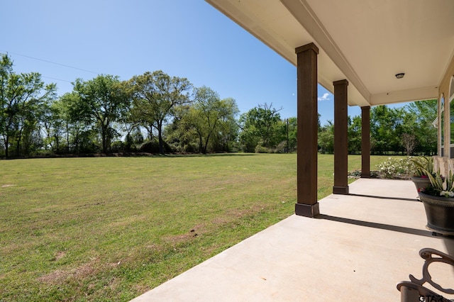 view of yard featuring a patio area