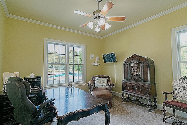 carpeted office with ceiling fan and crown molding