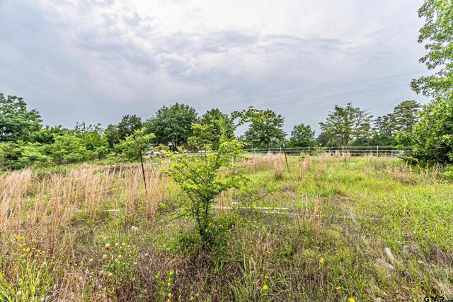 22456 County Road 3105, Gladewater, TX 75647 - photo 17