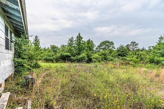 22456 County Road 3105, Gladewater, TX 75647 - photo 16