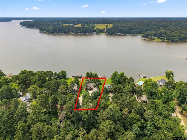 89 Eagle Cv, Mount Vernon, TX 75457 - aerial view of property's location featuring property parcel outlined, a large body of water, and a heavily wooded area