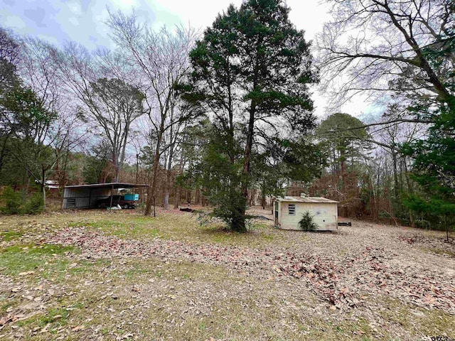 view of yard featuring an outdoor structure