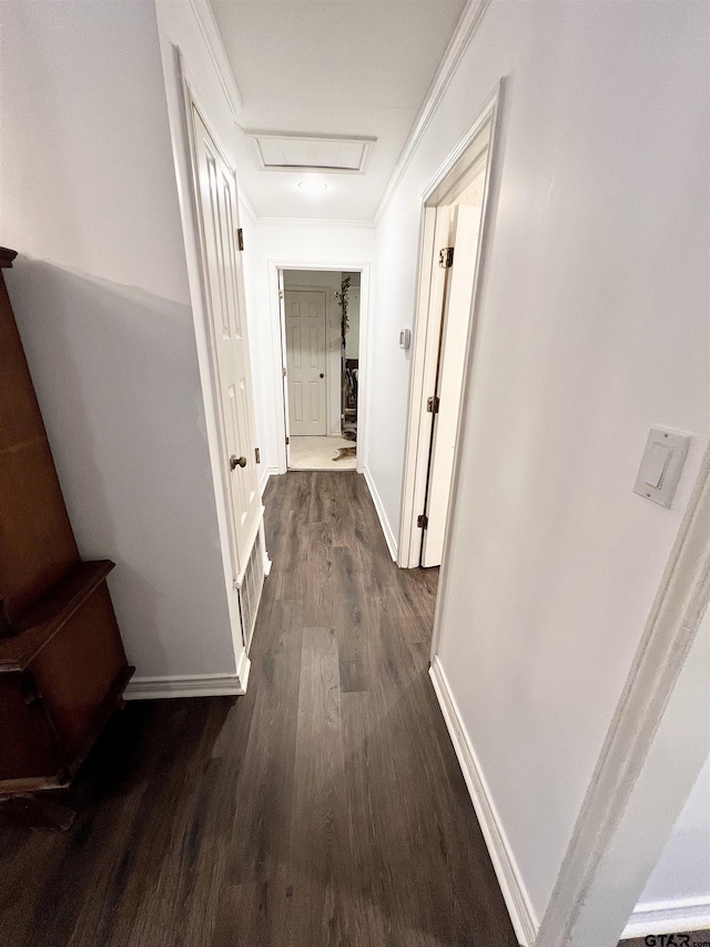 hallway with dark hardwood / wood-style floors and crown molding