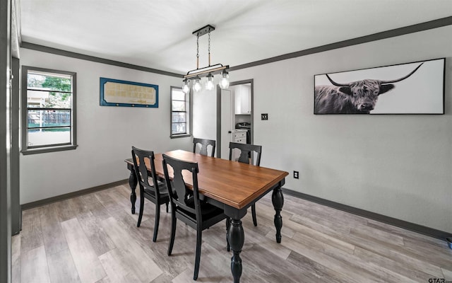 dining room with light wood-type flooring and crown molding