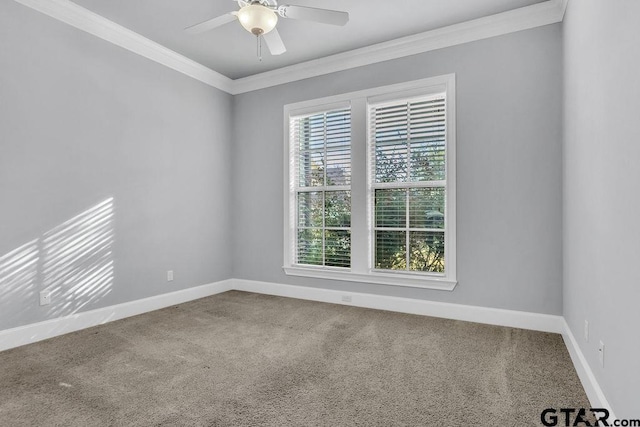 carpeted empty room with ceiling fan and ornamental molding