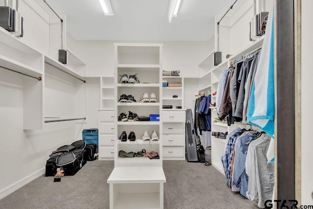 walk in closet with light colored carpet