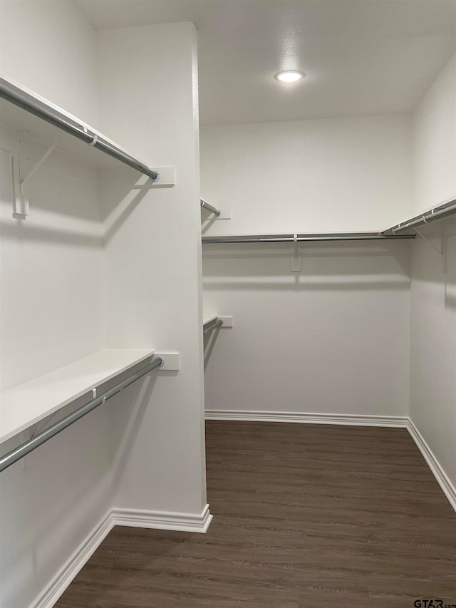 walk in closet featuring dark hardwood / wood-style flooring