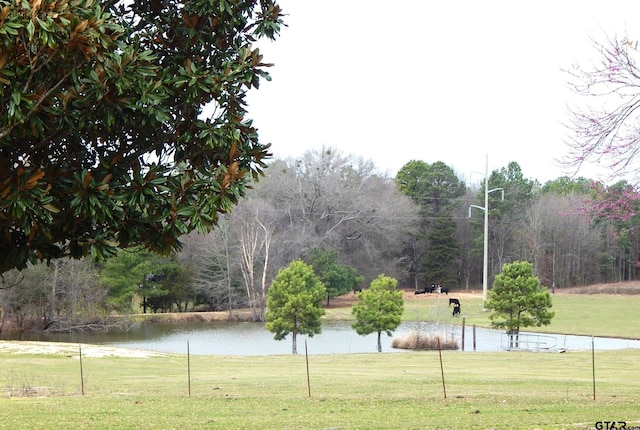 surrounding community featuring a yard and a water view