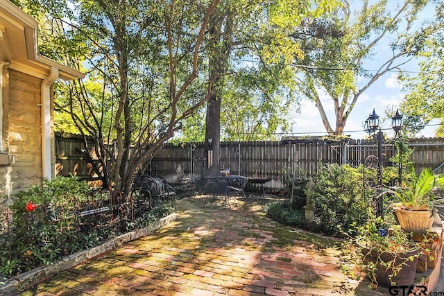 view of yard featuring a patio