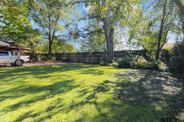 1719 S Chilton Ave, Tyler, TX 75701 - view of yard