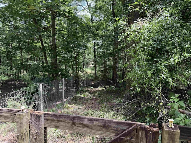 18872 Big Timber Rd, Tyler, TX 75703 - view of local wilderness