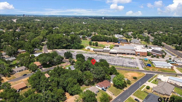 3121 S Robertson Ave, Tyler, TX 75701 - aerial view of a forest