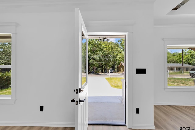 foyer entrance featuring a wealth of natural light and light hardwood / wood-style floors