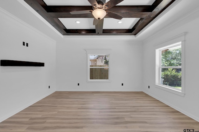 unfurnished room with light wood-type flooring, ceiling fan, and a tray ceiling