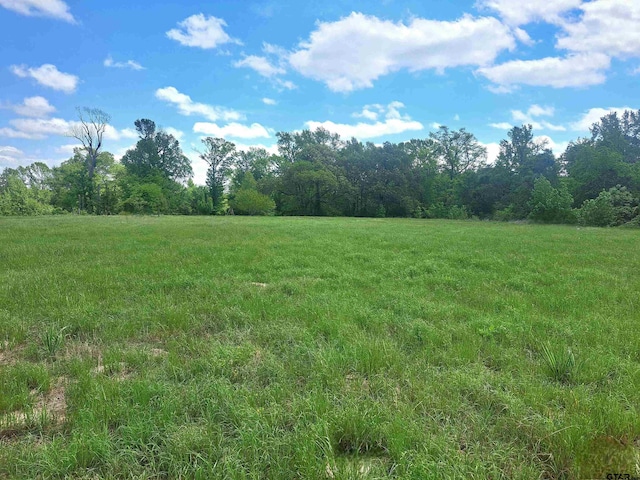 view of local wilderness featuring a rural view