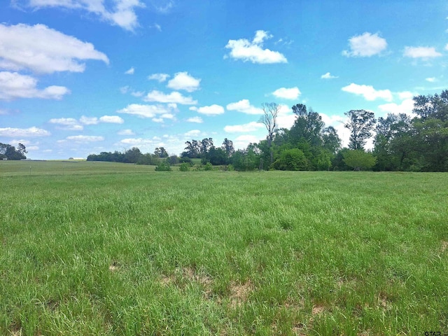 view of landscape featuring a rural view