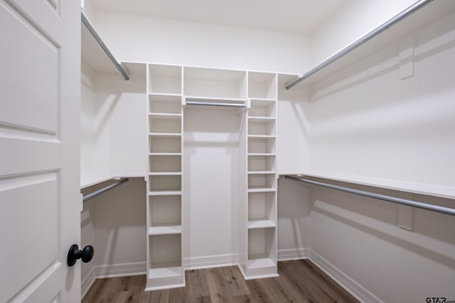 spacious closet featuring wood finished floors