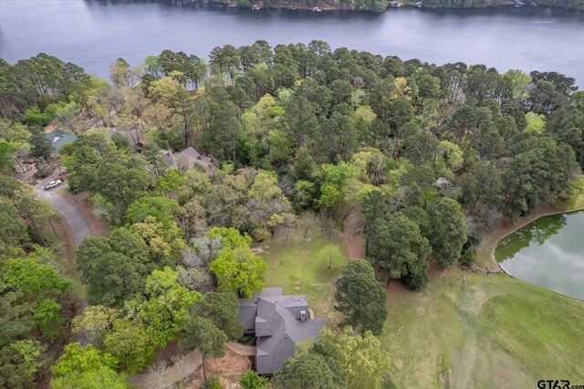 242 Lakewood Cir, Holly Lake Ranch, TX 75765 - photo 46