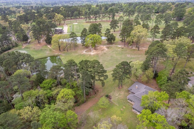 242 Lakewood Cir, Holly Lake Ranch, TX 75765 - photo 48