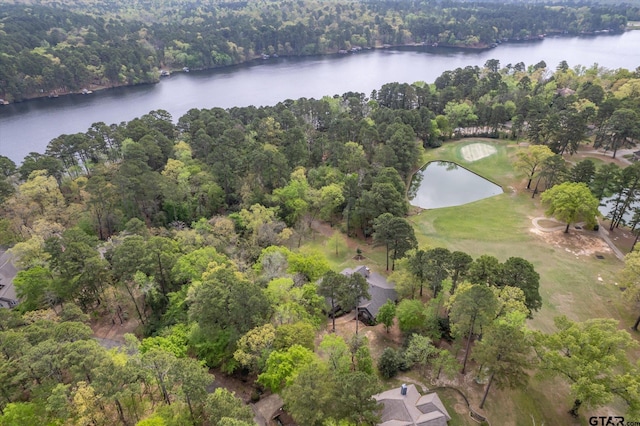 242 Lakewood Cir, Holly Lake Ranch, TX 75765 - photo 45