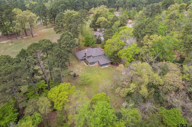 242 Lakewood Cir, Holly Lake Ranch, TX 75765 - photo 44