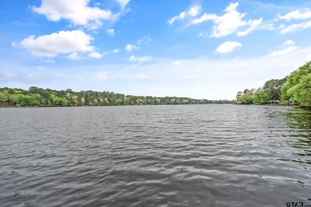 242 Lakewood Cir, Holly Lake Ranch, TX 75765 - photo 43