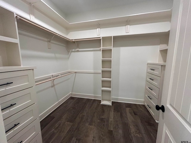 walk in closet with dark hardwood / wood-style floors