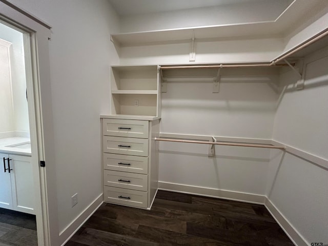 walk in closet with dark hardwood / wood-style floors