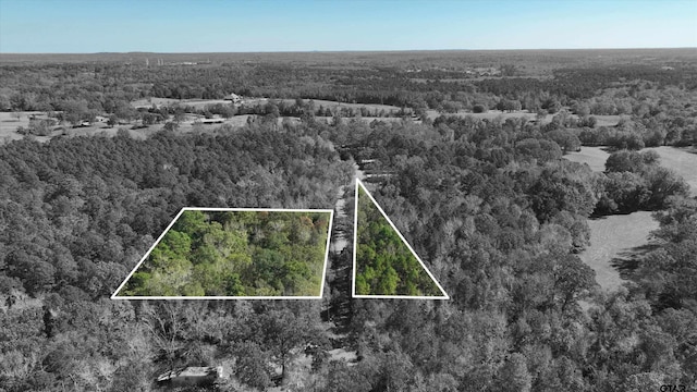 Listing photo 3 for TBD(3.4Acres) Fm 2015, Tyler TX 75708