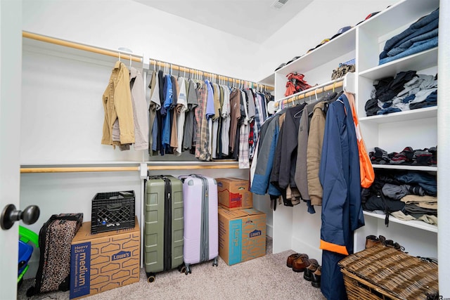 107 Hay Meadow Dr, Winona, TX 75792 - spacious closet with carpet flooring