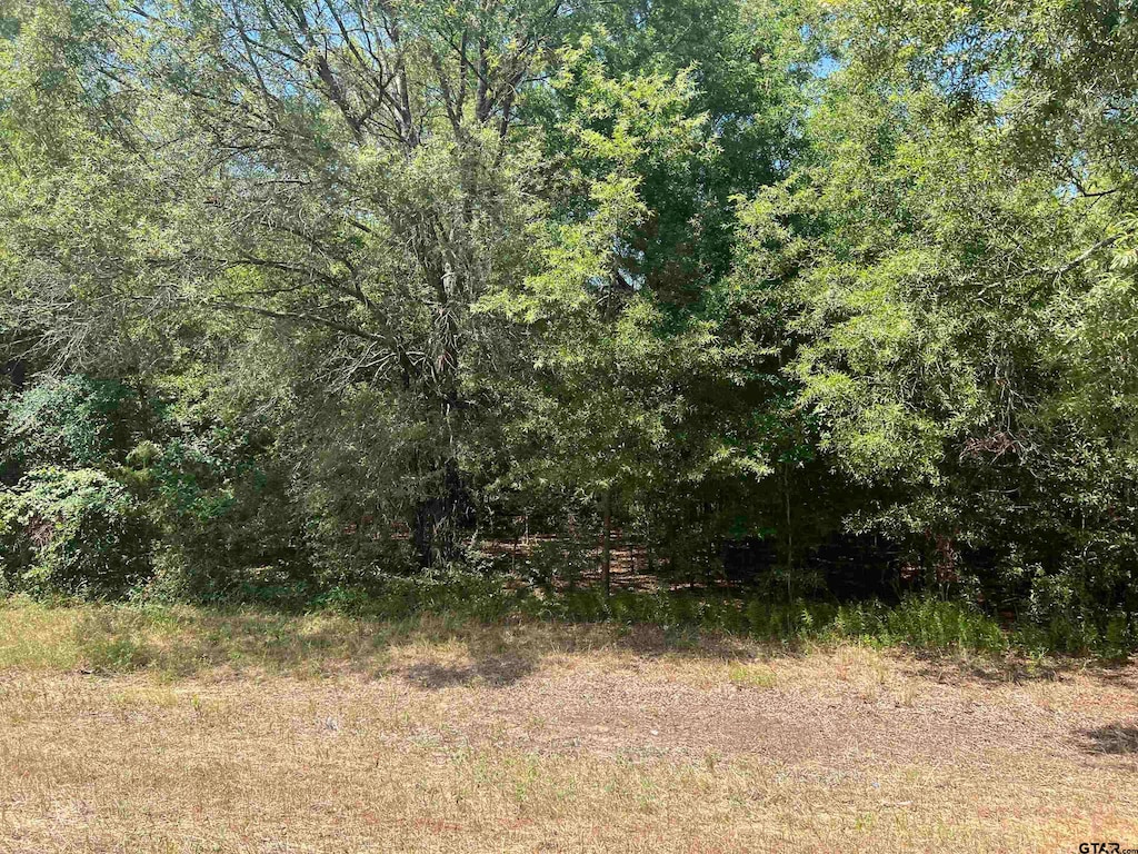 TBD Fm 3042, Pittsburg, TX 75686 - photo 2