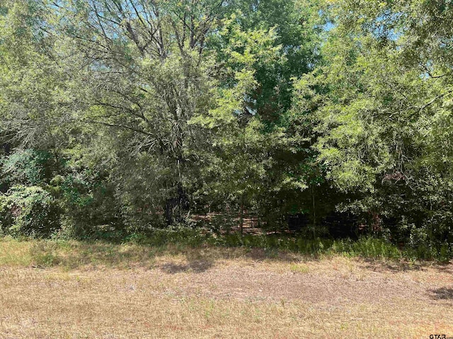 Listing photo 2 for TBD Fm 3042, Pittsburg TX 75686