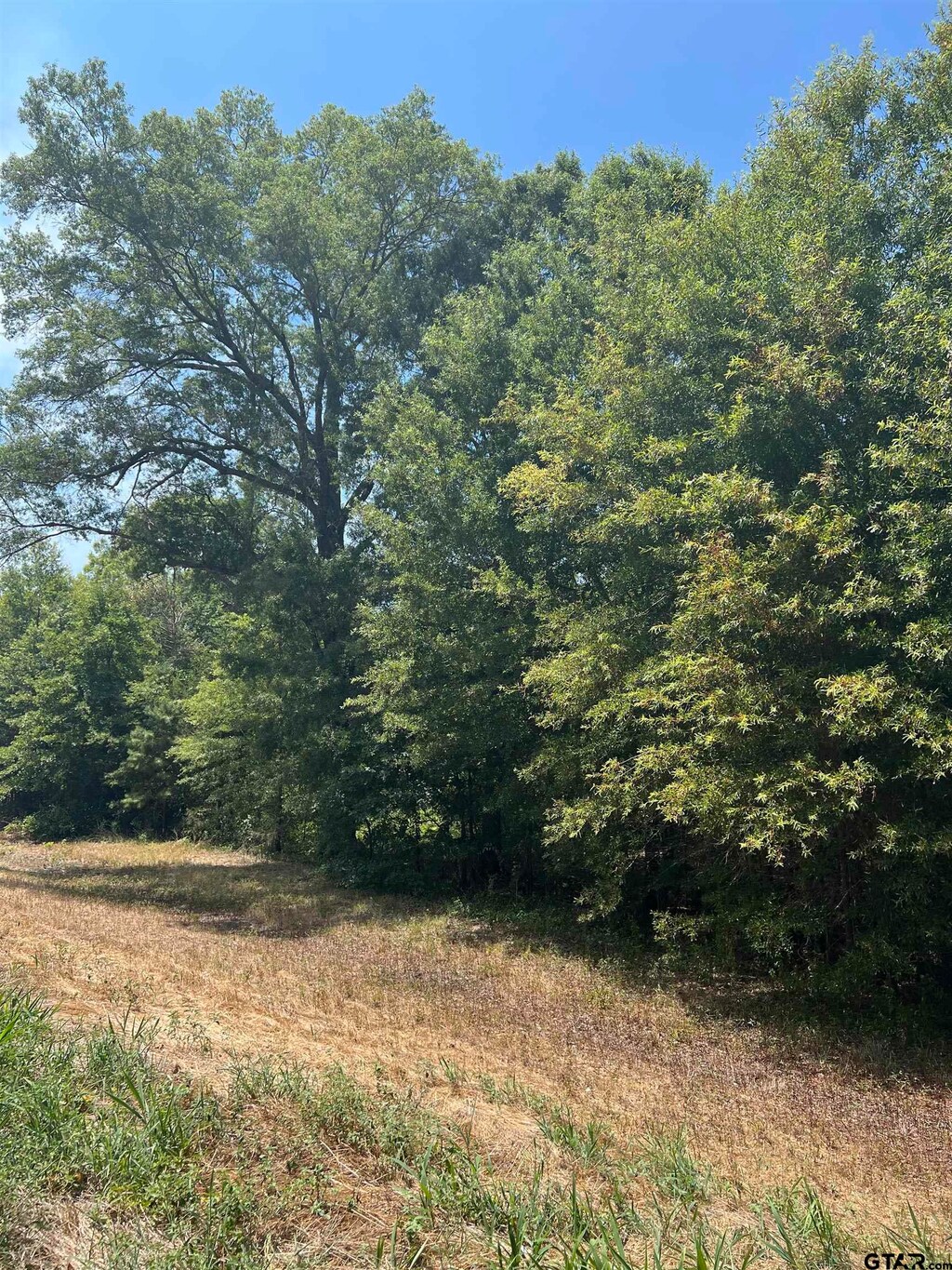 TBD Fm 3042, Pittsburg, TX 75686 - photo 1