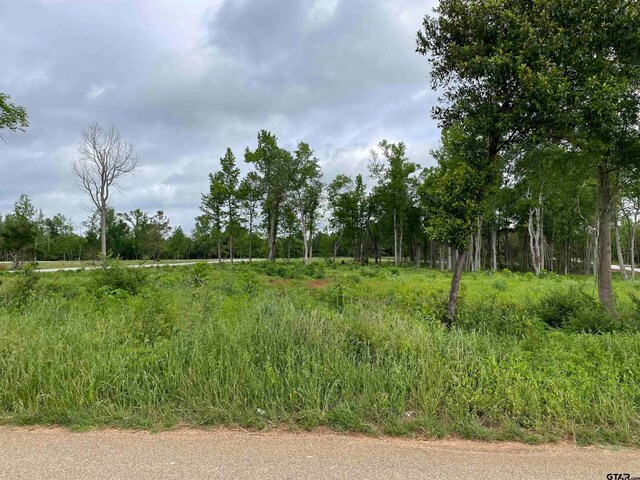 TBD Oak, Alto, TX 75925