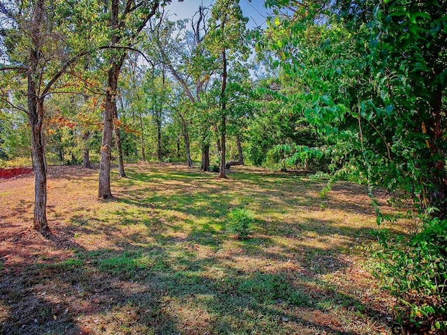 15883 Crazy Horse Dr, Lindale, TX 75771 - photo 43