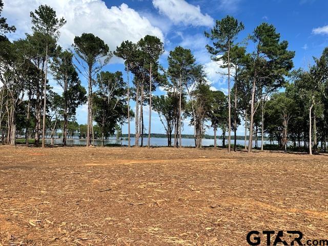 LOT52 Oak Riv, Frankston, TX 75763 - photo 20