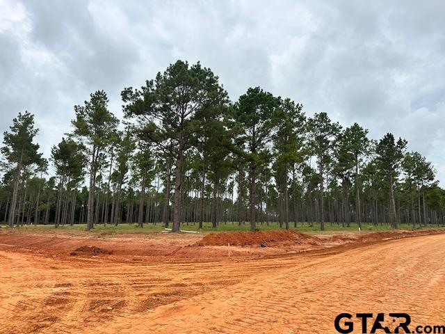 LOT52 Oak Riv, Frankston, TX 75763 - photo 3