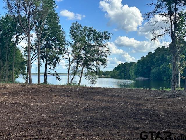 LOT52 Oak Riv, Frankston, TX 75763 - photo 4