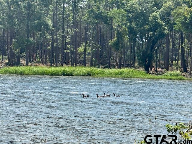 LOT52 Oak Riv, Frankston, TX 75763 - photo 6