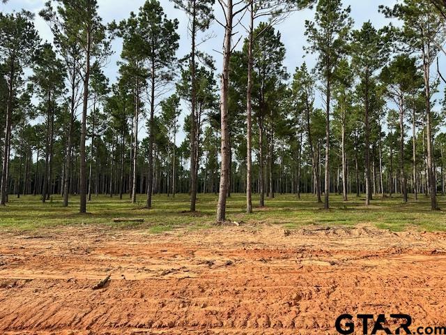 LOT52 Oak Riv, Frankston, TX 75763 - photo 1