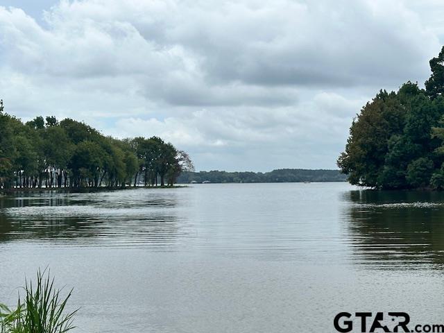 LOT52 Oak Riv, Frankston, TX 75763 - photo 13
